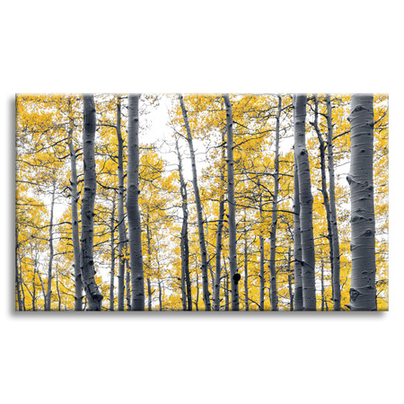 Canvas Print Birches Yellow Leaves Nature Spring 120x80 cm