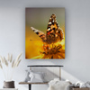 Canvas Print Animals Butterfly on Flower 80x100