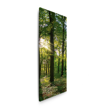 Canvas Print Sun Forest Trees Rays of Light 40x120 cm