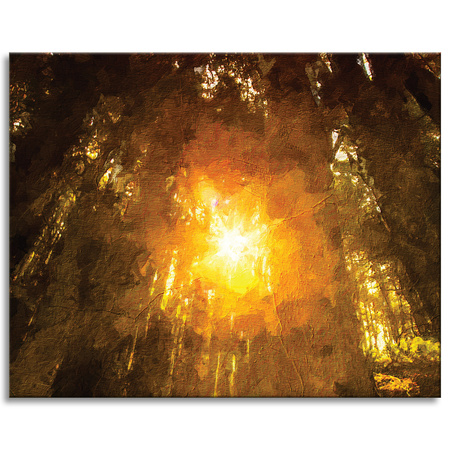 Canvas Print Forest in the Sunlight Pastels 100x80 cm