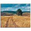 Canvas Print Grain Field Nature Clouds Landscape 100x80 cm