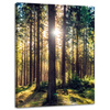 Canvas Print Forest Sun Trees Spring Morning 30x40 cm