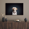 Canvas Print Animals Labrador 40X30 cm