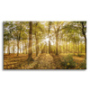 Canvas Print Sun Between Trees in the Forest 120x80 cm