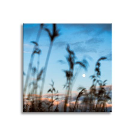 Canvas Print Nature Glade Meadow Sunrise 90x90