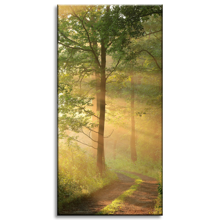 Canvas Print Sunlight Forest Path Nature 40x80 cm