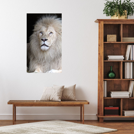 Canvas Print Bright Lion Hair White Majesticity 80x120 cm