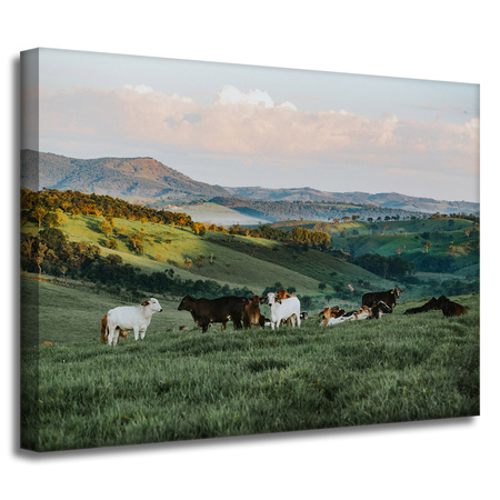 Canvas Print Nature Pasture_2 40x30 cm