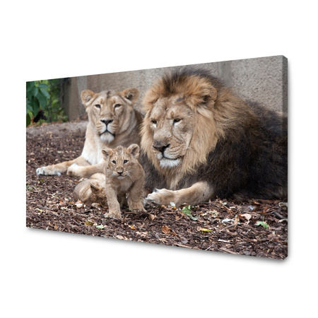 Canvas Print Lion Family Photo Nature 100x80 cm