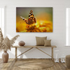Canvas Print Animals Butterfly on Flower 90x60