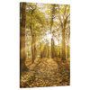 Canvas Print Sun Between Trees in the Forest 70x120 cm