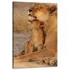 Canvas Print Lioness and Lion Cub Savannah Nature 80x120 cm