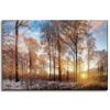 Canvas Print Trees Winter Rising Sun 60x40 cm