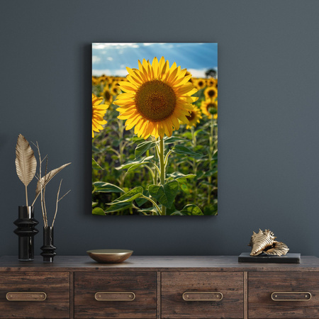 Canvas Print Botany Sunflower Field 30x40 cm