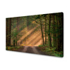 Canvas Print Path in the Forest Trees Nature 120x80 cm