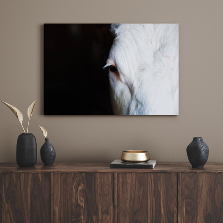 Canvas Print Animals Eye 100x80 cm