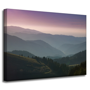 Canvas Print Nature Road 40x30 cm