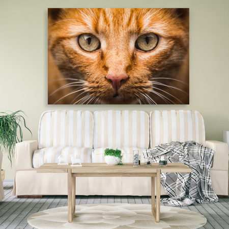 Canvas Print Cat Face Close Up 90x60