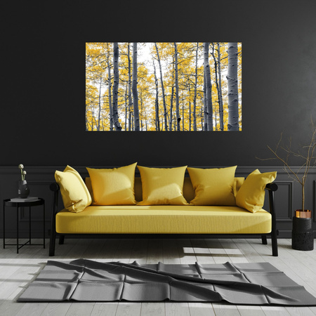 Canvas Print Birches Yellow Leaves Nature Spring 120x80 cm