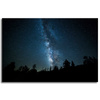 Canvas Print Space Night Forest Nebula 90x60