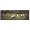 Canvas Print Nature Sheep on Pasture 120x40