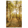 Canvas Print Sun Between Trees in the Forest 70x120 cm