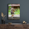 Canvas Print Animals Squirrel 30x40 cm