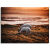 Canvas Print Animals Grazing Sheep 40x30 cm