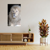 Canvas Print Bright Lion Hair White Majesticity 80x120 cm