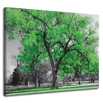 Canvas Print Black Trees Green Leaves Art 100x80 cm