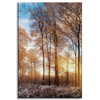 Canvas Print Trees Winter Rising Sun 60x90 cm