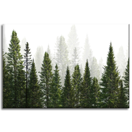 Canvas Print Rain Forest Nature Trees 60x40 cm