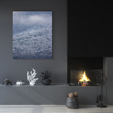 Canvas Print Nature Snowy Forest 30x40 cm
