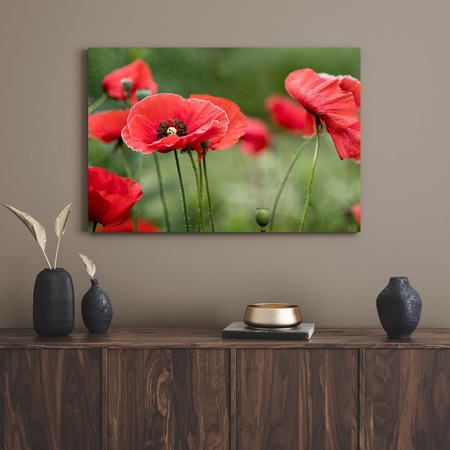Canvas Print Botanical Red Poppies 120x40 cm Flowers Flora