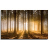 Canvas Print Sun in the Forest Light Tree 80x50 cm