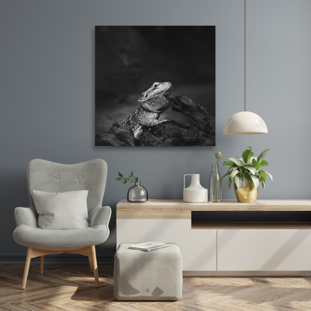 Canvas Print Lizard Reptile Black and White Nature 90x90