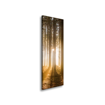Canvas Print Sun in the Forest Light Tree 40x120 cm