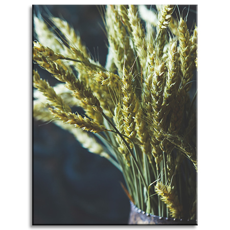 Canvas Print Botany Wheat ears in a vase 30x40 cm