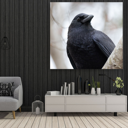 Canvas Print Animals Crow 40x40 cm