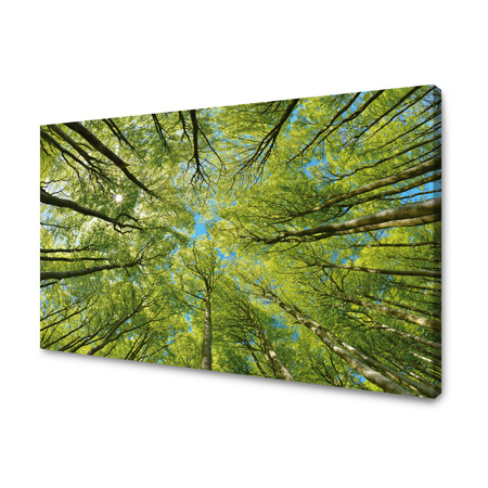Canvas Print Leaves Trees Green Sun Sky 120x80 cm