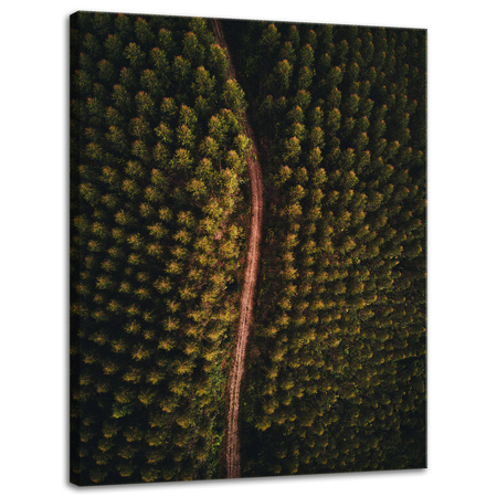 Canvas Print Nature Road from a Bird's Eye View 30x40 cm