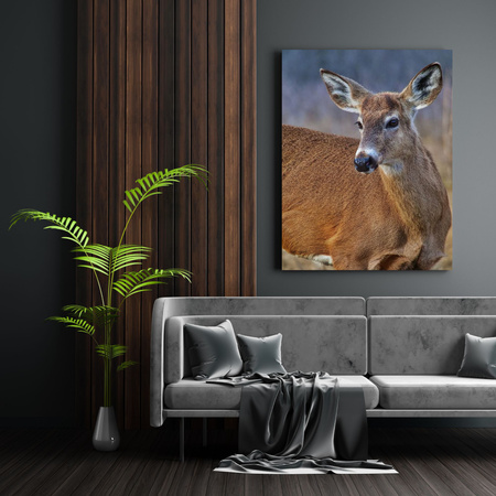 Canvas Print Animals Roe Deer 30x40 cm
