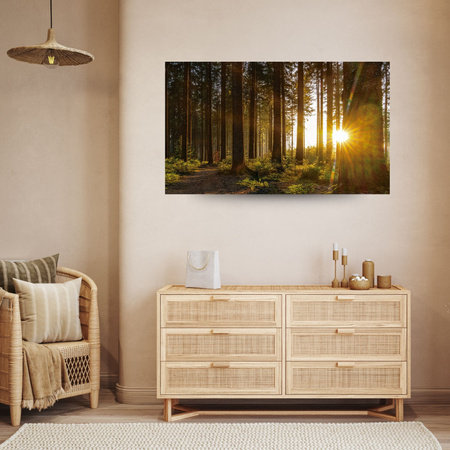 Canvas Print Sunset Forest Trees Nature 120x80 cm