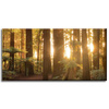 Canvas Print Sun Rays Forest Trees 80x40 cm
