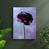Canvas Print Botanical Purple Flower 30x40 cm