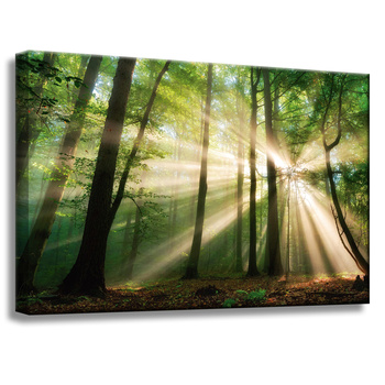 Canvas Print Sun in the Forest Trees Nature 60x40 cm
