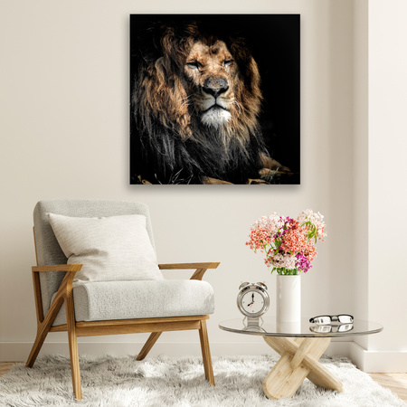 Canvas Print Adult Lion Animal 90x90