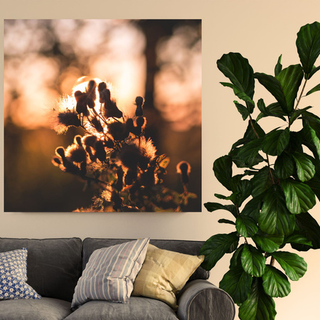 Canvas Print Botany Morning 40x40 cm