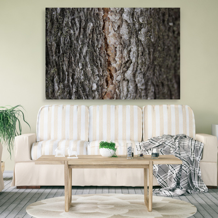 Canvas Print Nature Tree Bark 90x60
