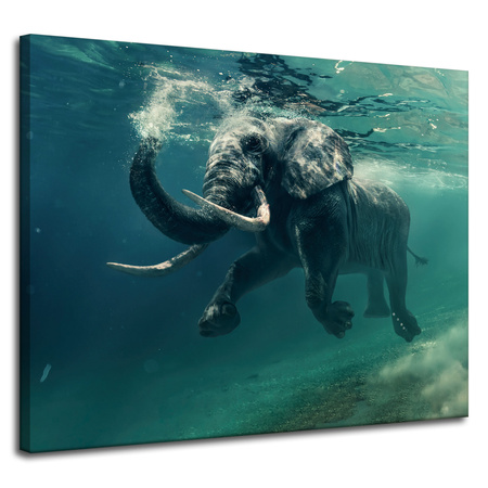 Canvas Print Swimming Elephant in Water Art 100x80 cm